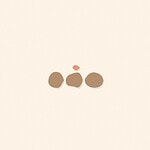 Soft organic blob style illustration with rounded pastel shapes for the activity 'The Memory Game: three cups, a hidden toy, and real working memory practice'